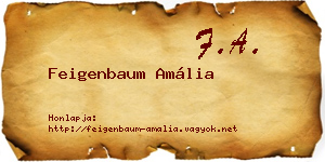 Feigenbaum Amália névjegykártya